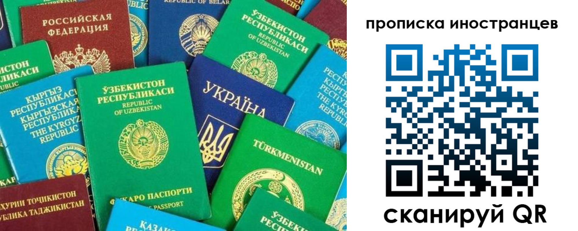 прописка гарантия в Лесном